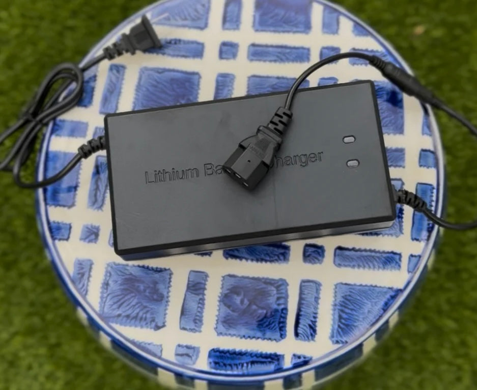 Upgraded Fast Charger For Tuttio or Razor (Pre Order)