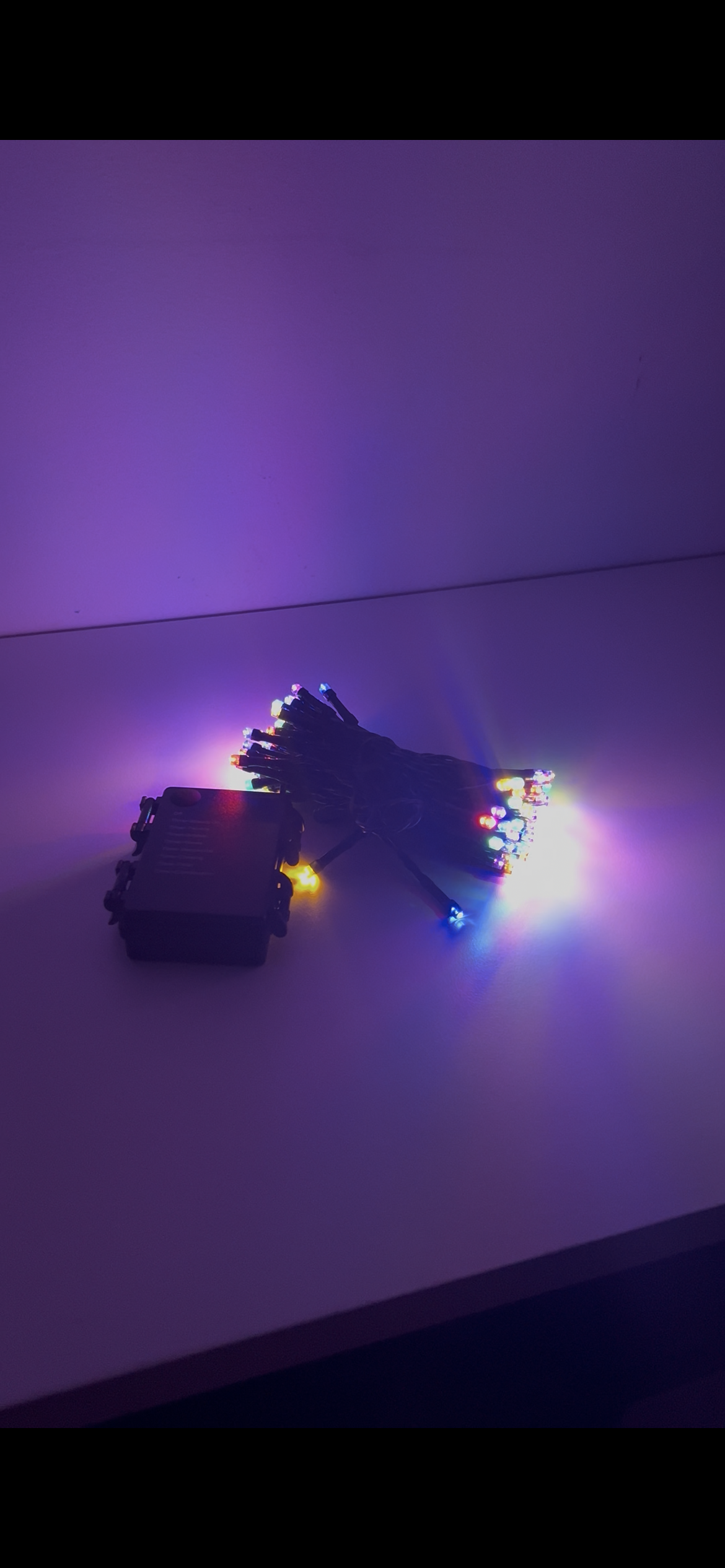 24FT Battery Powered LED Christmas Lights (multi-color)