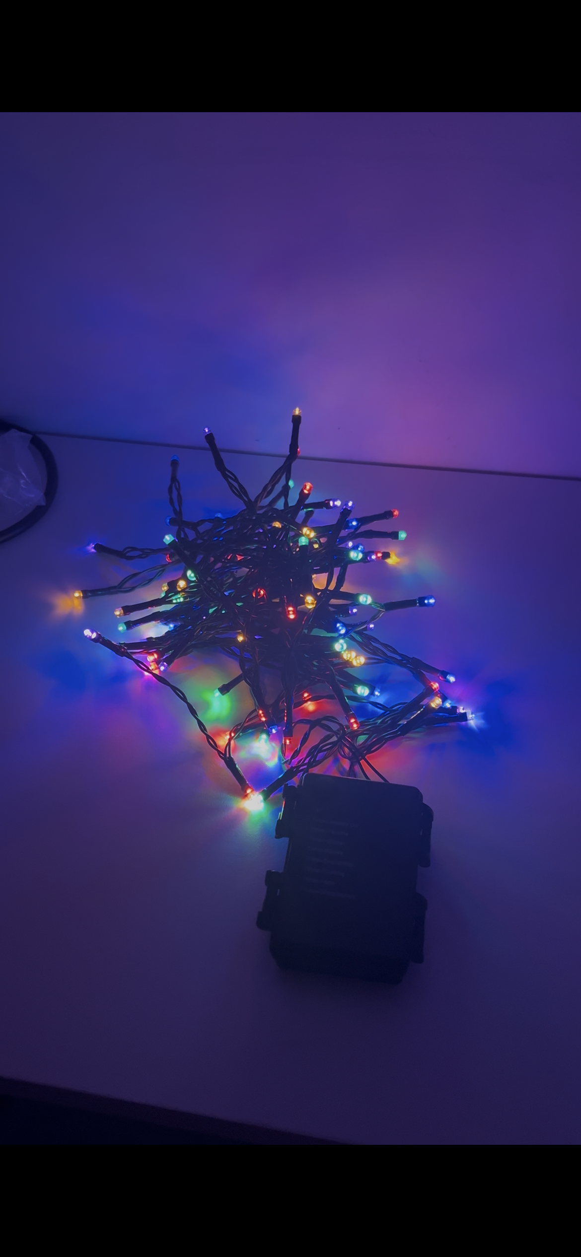 24FT Battery Powered LED Christmas Lights (multi-color)