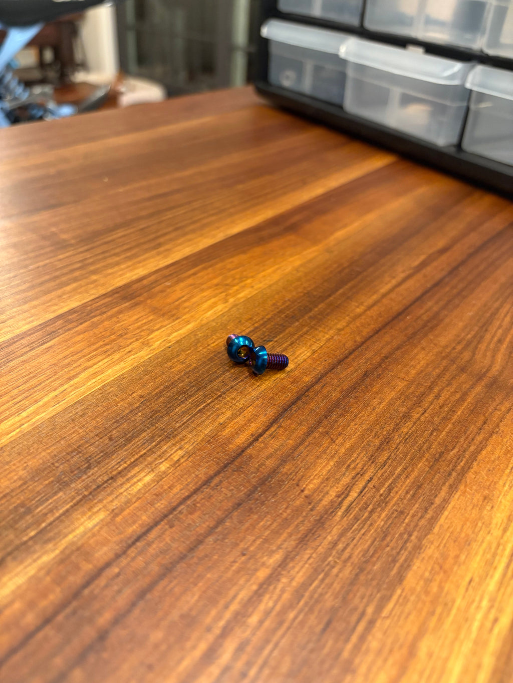 Motor Cover Titanium Bolts (set of 2)